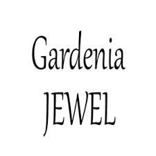 Shop Accessories at GardeniaJewel